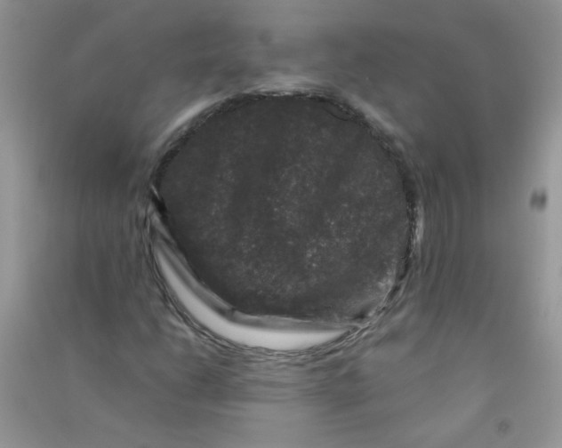 X0000090761206200708172040