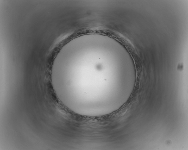 X0000090761207200708172040