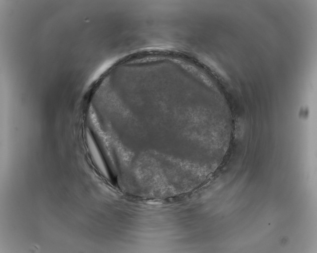 X0000090761208200708172040