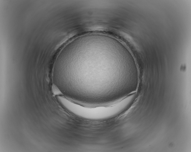 X0000090761209200708172040