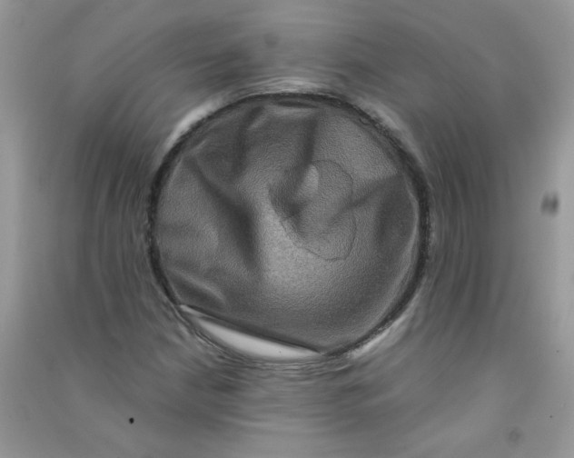 X0000090761210200708172041