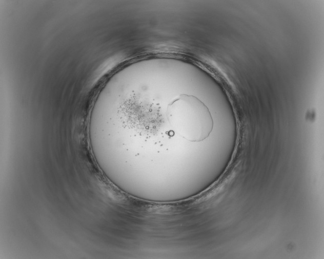 X0000090761211200708172041