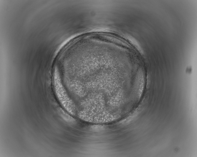 X0000090761212200708172041