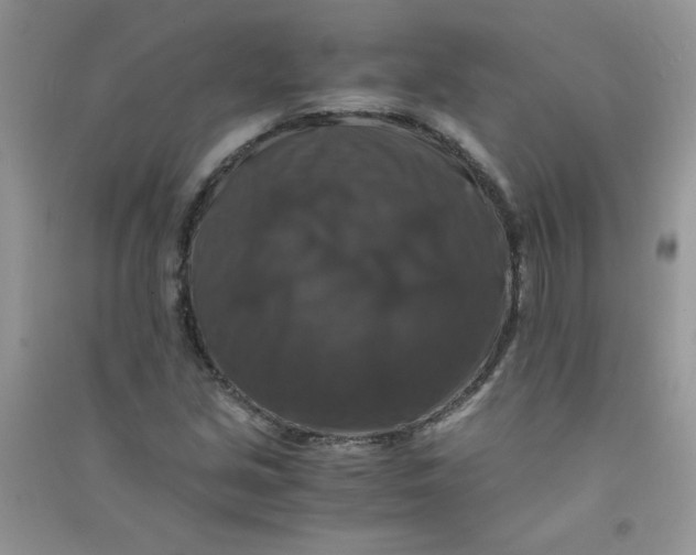 X0000090761213200708172041