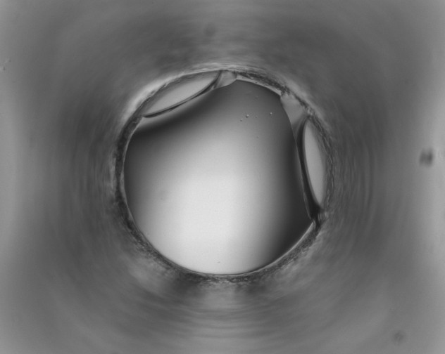 X0000090761214200708172041