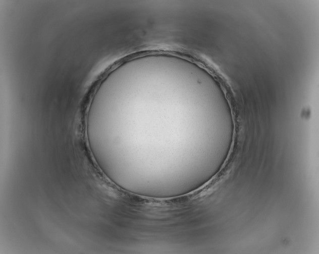 X0000090761215200708172041