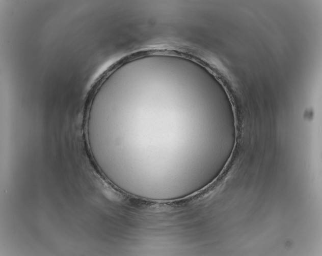 X0000090761216200708172041