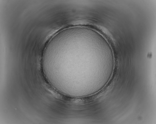 X0000090761217200708172041