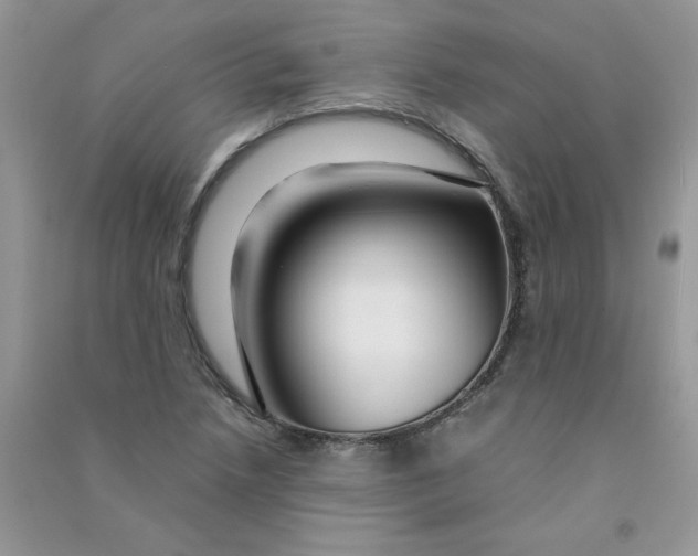 X0000090761218200708172041