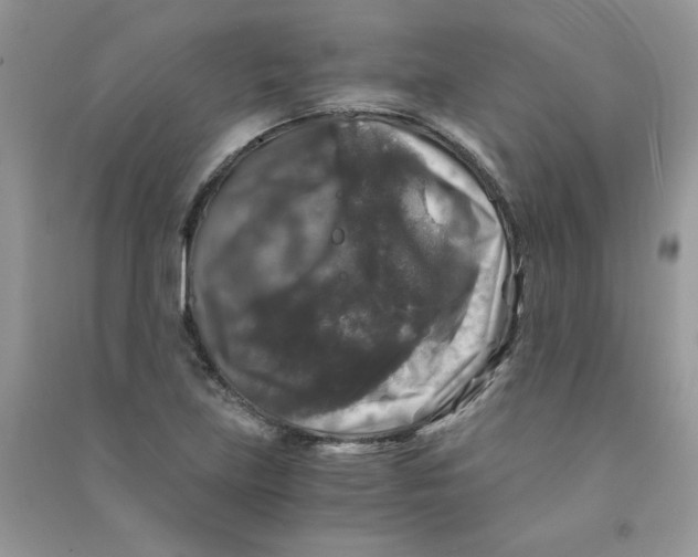 X0000090761219200708172041