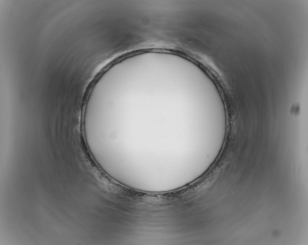 X0000090761220200708172041