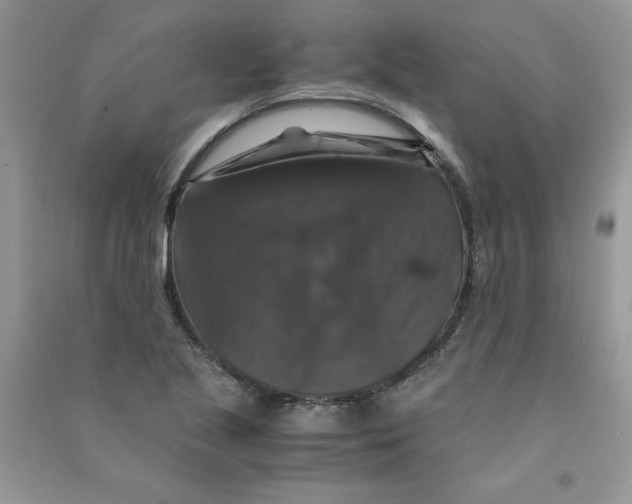 X0000090761221200708172041