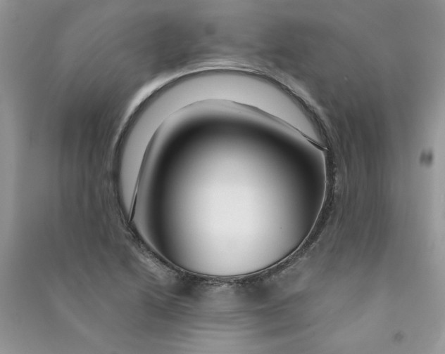 X0000090761222200708172041