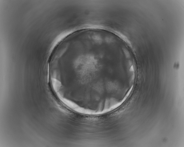 X0000090761223200708172041