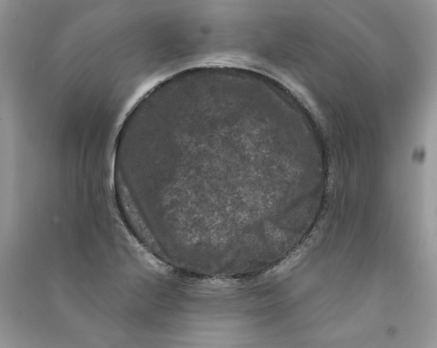 X0000090761224200708172041