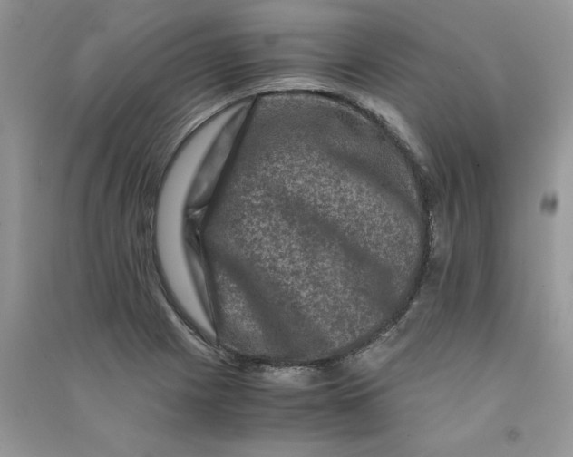 X0000090761225200708172041