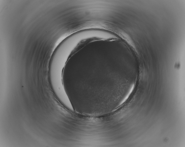 X0000090761226200708172041