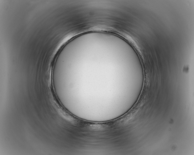 X0000090761227200708172041