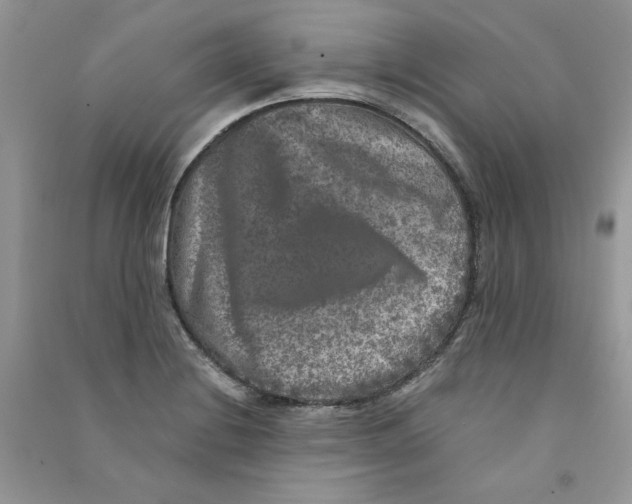 X0000090761228200708172041