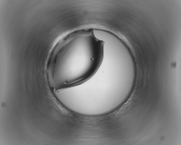 X0000090761230200708172041