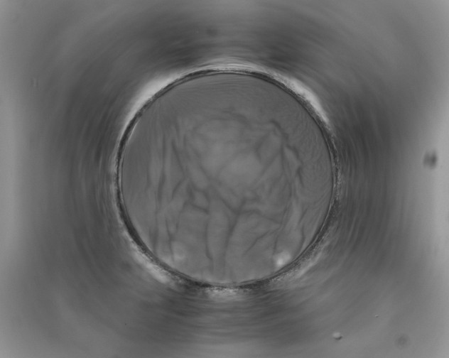 X0000090761231200708172041