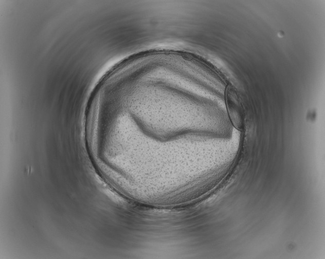 X0000090761232200708172041