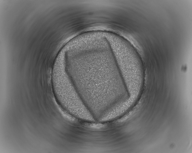 X0000090761233200708172041