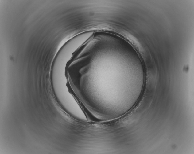 X0000090761234200708172041