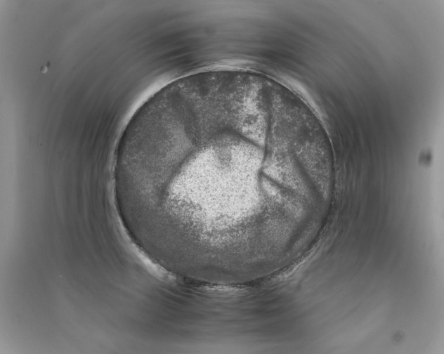 X0000090761235200708172041