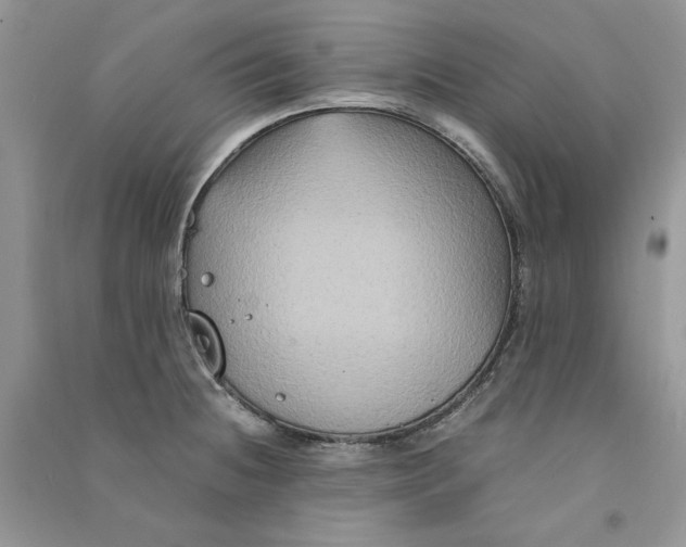 X0000090761236200708172041