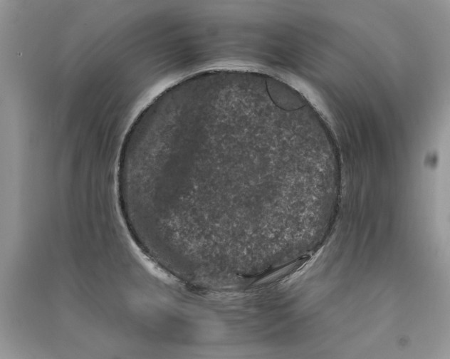 X0000090761237200708172041