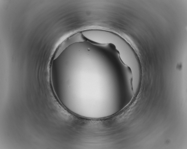 X0000090761238200708172041