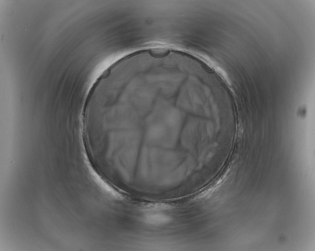 X0000090761239200708172041