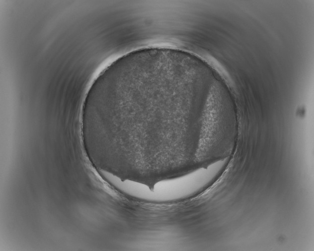 X0000090761240200708172041