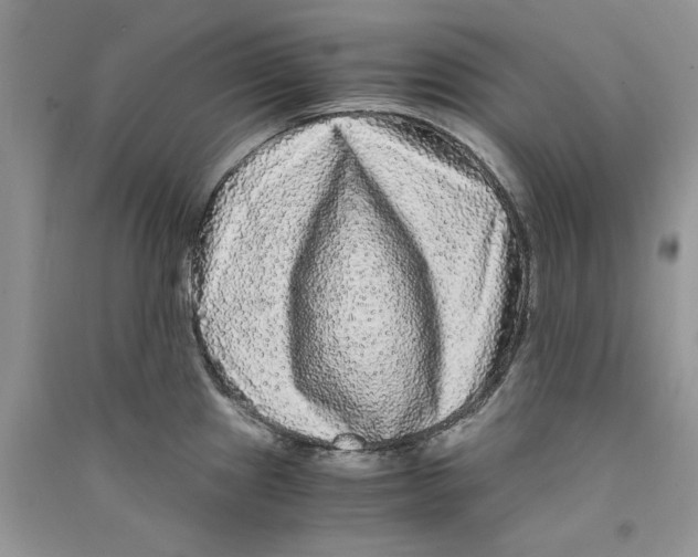 X0000090761241200708172041