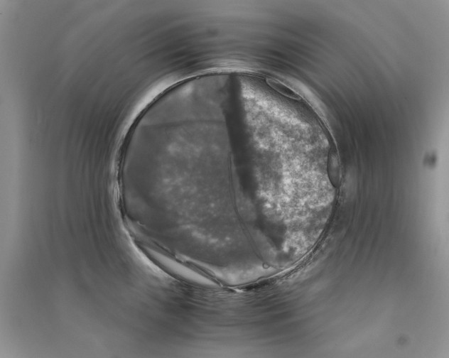 X0000090761243200708172041