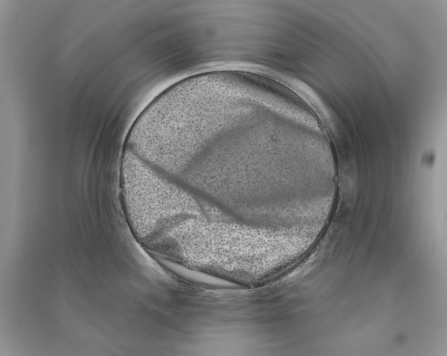 X0000090761244200708172041