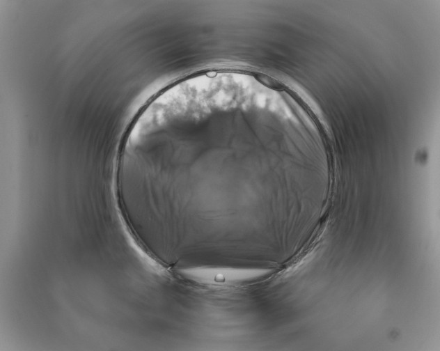 X0000090761245200708172041