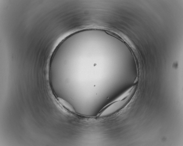 X0000090761246200708172041