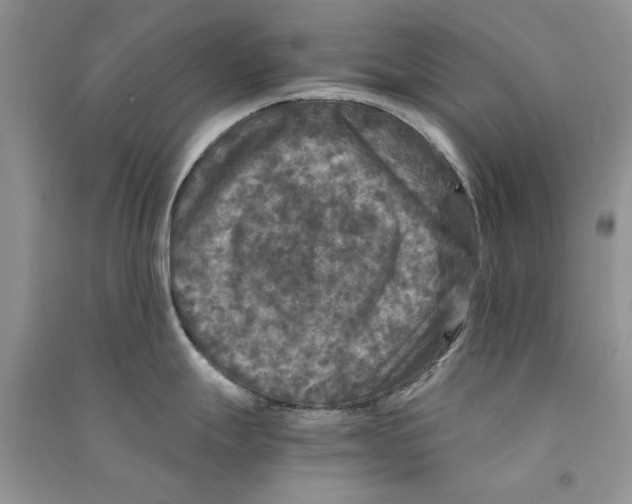 X0000090761247200708172041