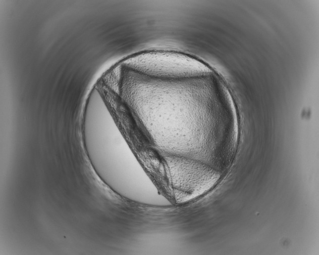 X0000090761248200708172041