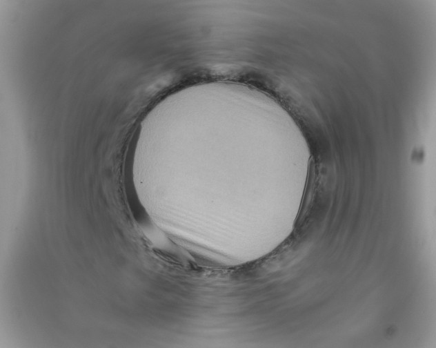 X0000090761249200708172040