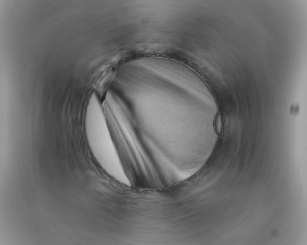 X0000090761250200708172040