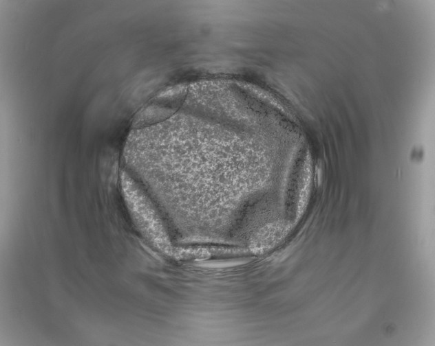 X0000090761251200708172040