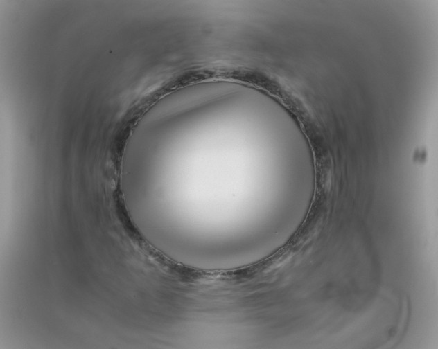 X0000090761253200708172040