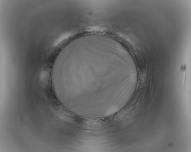 X0000090761254200708172040