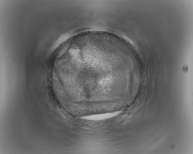 X0000090761255200708172040