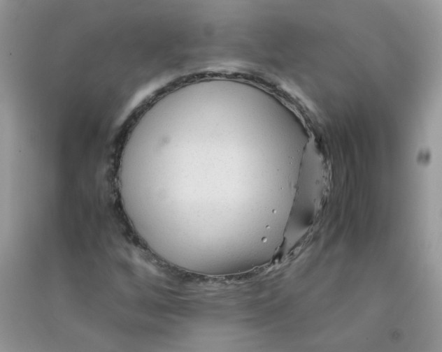 X0000090761256200708172040