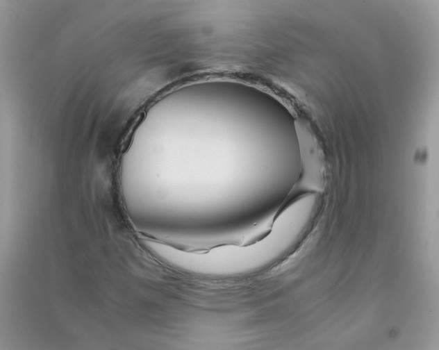 X0000090761257200708172040