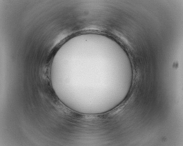 X0000090761258200708172040